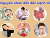 Những nguyên nhân dẫn đến bệnh trĩ