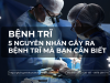 Nguyên nhân bệnh trĩ