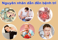 Những nguyên nhân dẫn đến bệnh trĩ