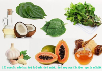 Những phương pháp chữa trĩ hiệu quả hiện nay